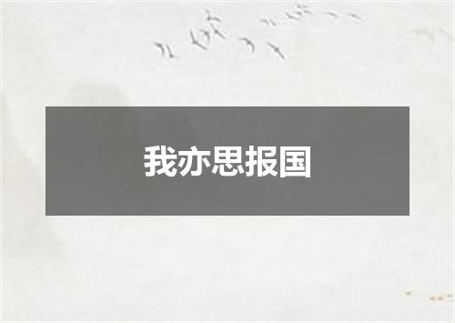 我亦思报国