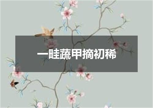 一畦蔬甲摘初稀