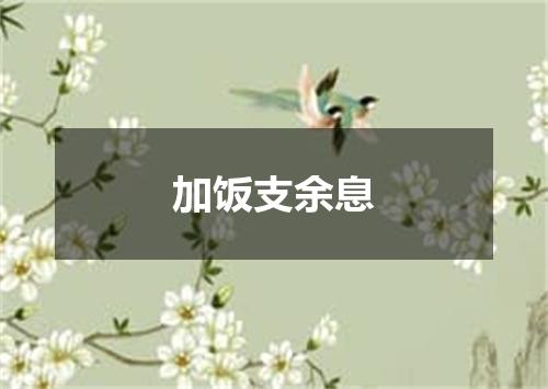 加饭支余息
