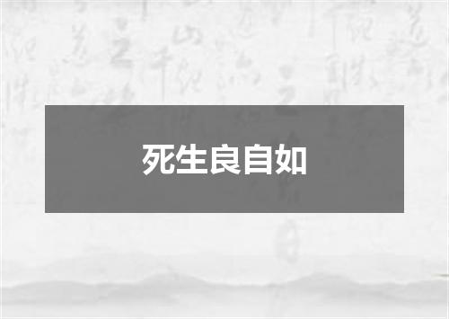 死生良自如