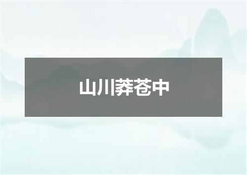 山川莽苍中