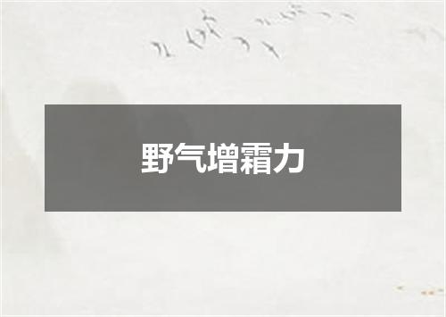野气增霜力