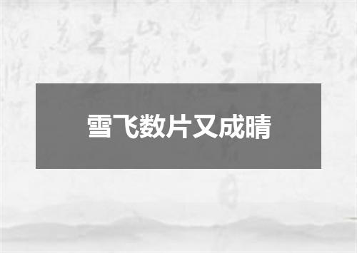 雪飞数片又成晴