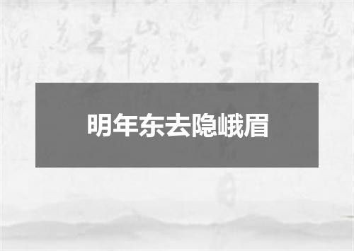 明年东去隐峨眉