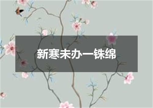 新寒未办一铢绵