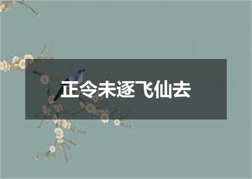 正令未逐飞仙去