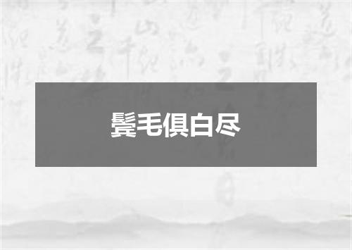 鬓毛俱白尽