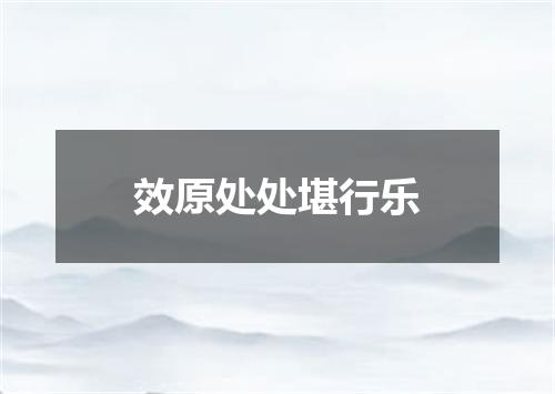 效原处处堪行乐