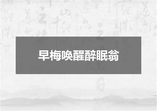 早梅唤醒醉眠翁