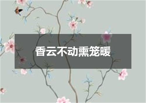 香云不动熏笼暖