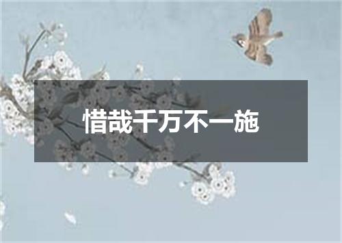 惜哉千万不一施