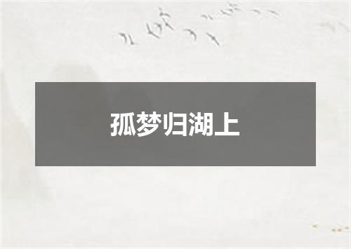 孤梦归湖上
