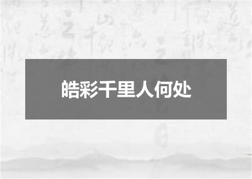 皓彩千里人何处