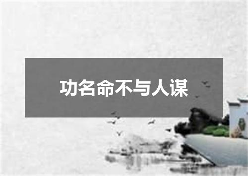 功名命不与人谋