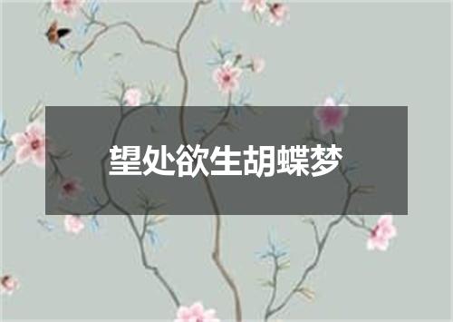 望处欲生胡蝶梦