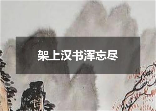 架上汉书浑忘尽