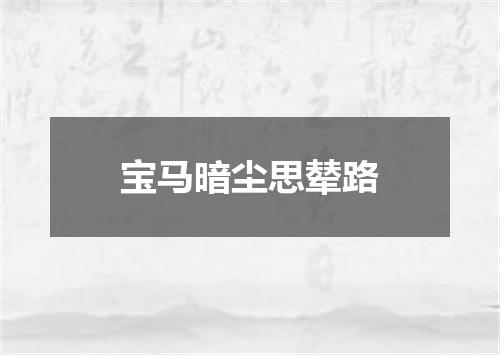 宝马暗尘思辇路