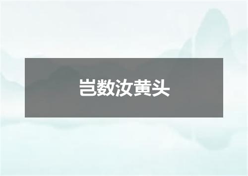 岂数汝黄头