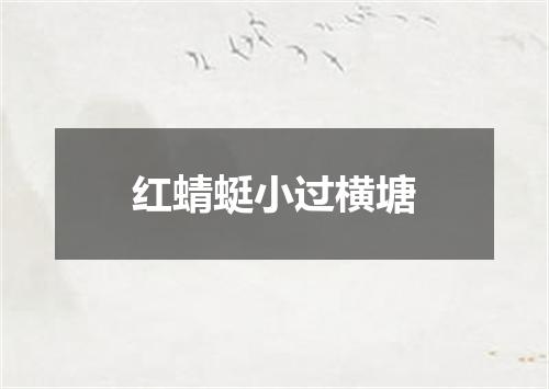 红蜻蜓小过横塘