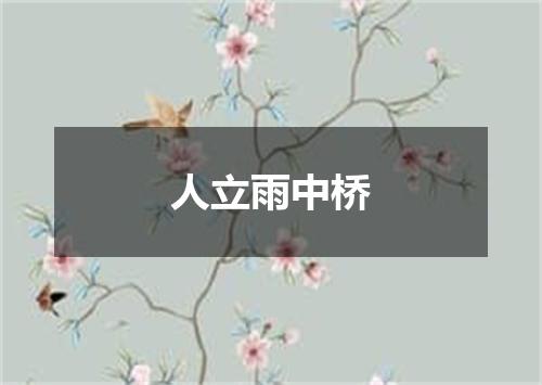 人立雨中桥