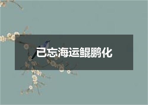 已忘海运鲲鹏化