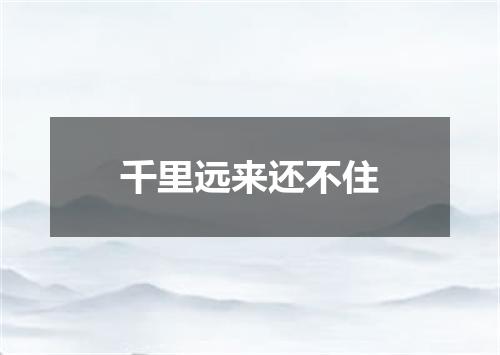 千里远来还不住