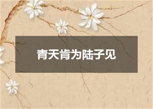 青天肯为陆子见