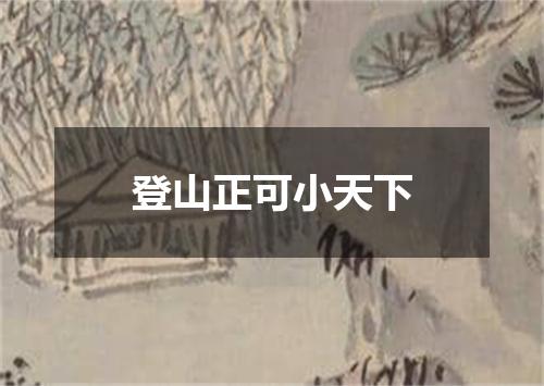 登山正可小天下
