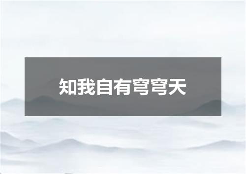 知我自有穹穹天