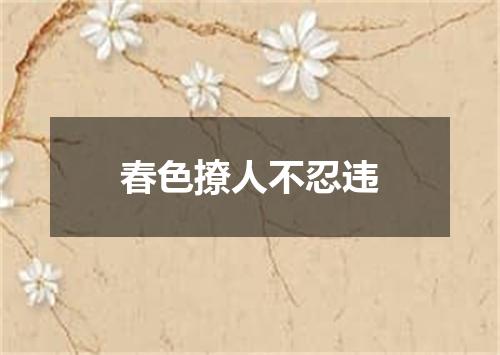 春色撩人不忍违