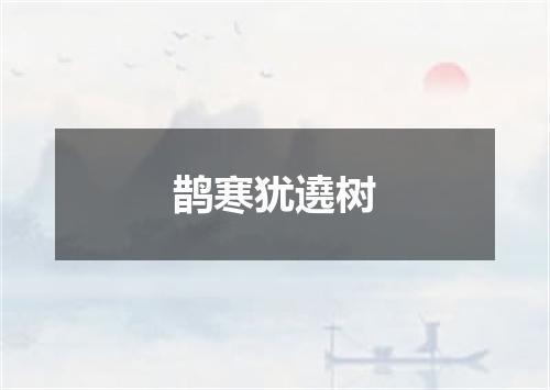 鹊寒犹遶树