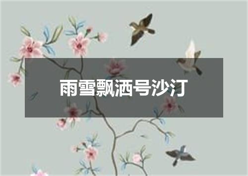 雨雪飘洒号沙汀