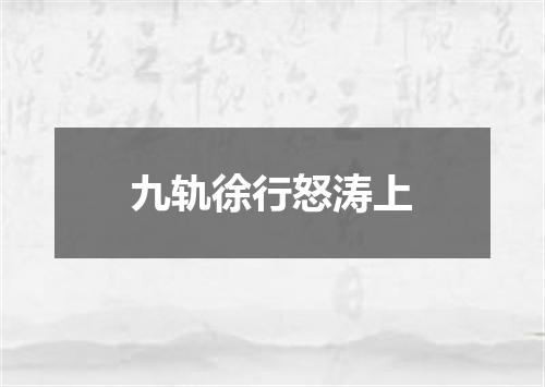 九轨徐行怒涛上