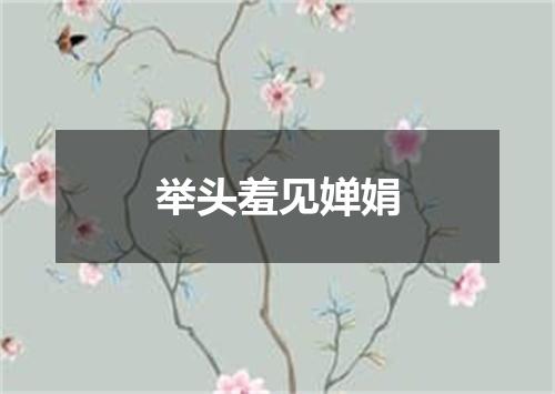 举头羞见婵娟
