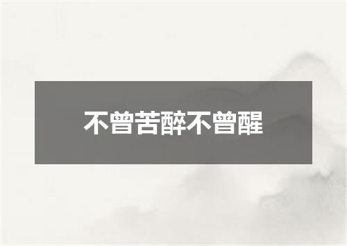 不曾苦醉不曾醒