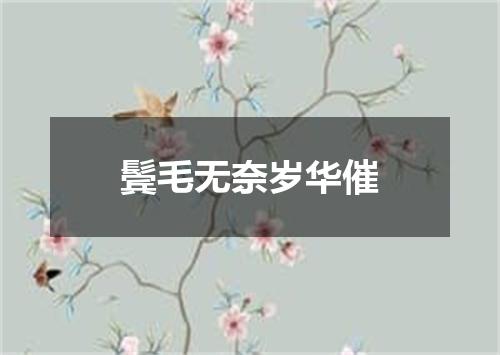 鬓毛无奈岁华催