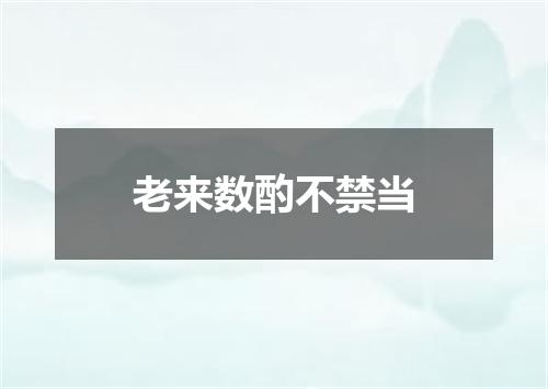 老来数酌不禁当
