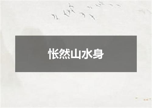 怅然山水身
