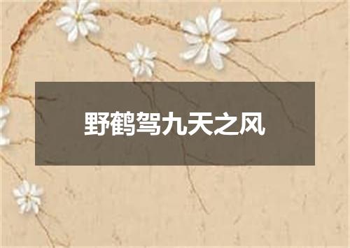 野鹤驾九天之风