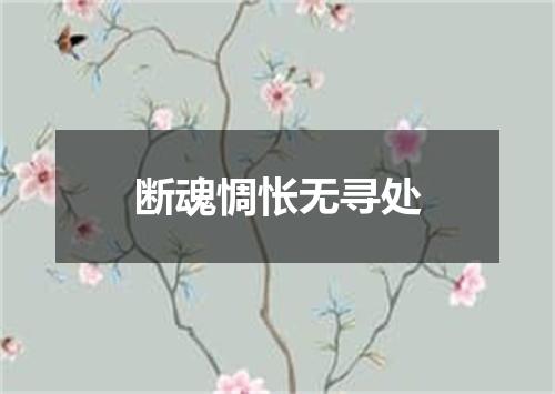 断魂惆怅无寻处