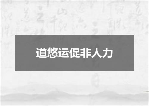 道悠运促非人力