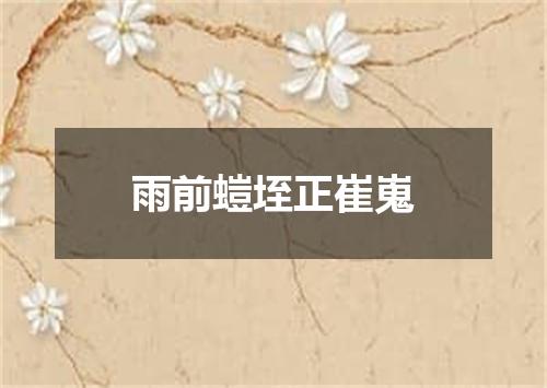 雨前螘垤正崔嵬