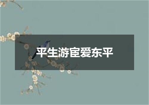 平生游宦爱东平