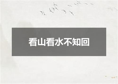 看山看水不知回