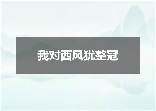 我对西风犹整冠