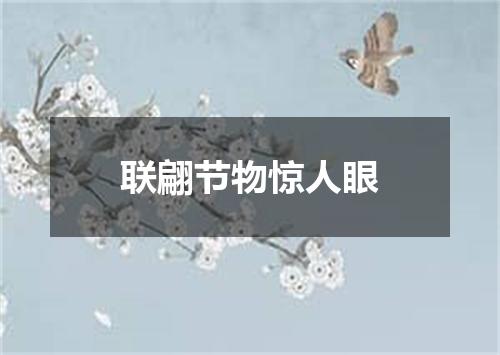 联翩节物惊人眼