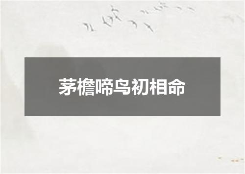 茅檐啼鸟初相命