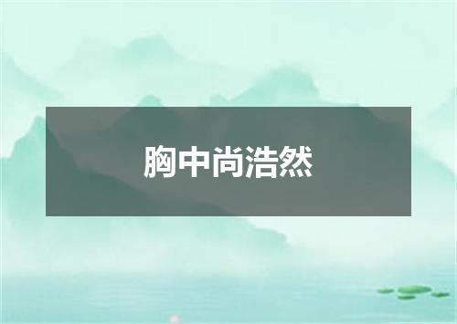 胸中尚浩然