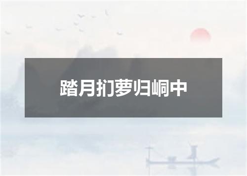 踏月扪萝归峒中