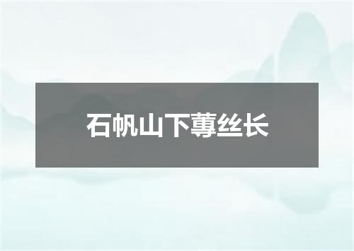 石帆山下蓴丝长